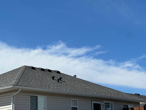 Best Roof Coating and Sealing  in Lewistown, MT
